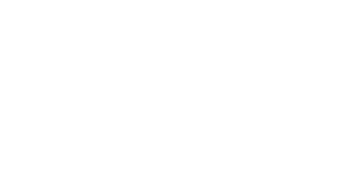 Octo Technology